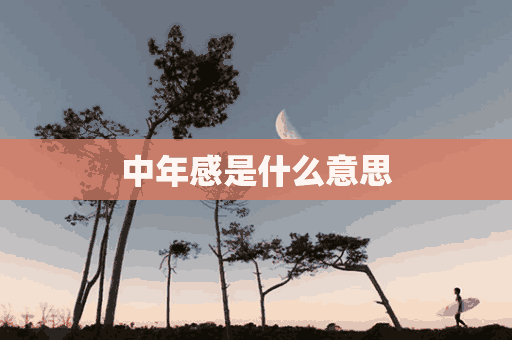 中年感是什么意思(中年感言的经典语句)